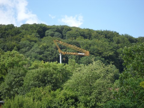 20130913 - Forestiere