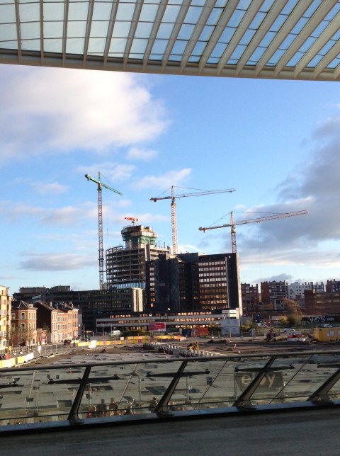 20131117 - Faustigru-Liege