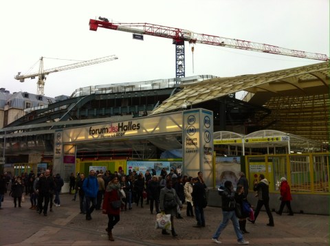 20140123 - FaustigruCanopee