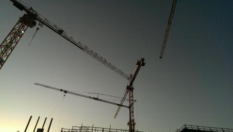 Le rendez-vous des grues