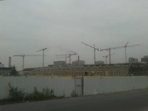 Ciel gris, ciel grues