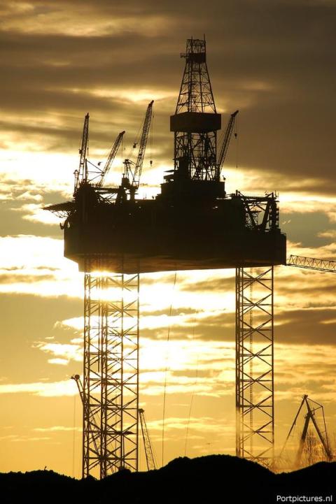 Rowan Gorilla VII - Portpictures.nl