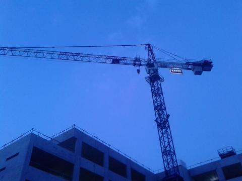Grue du soir Espoir