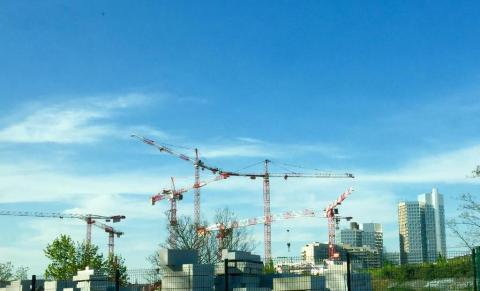 Les grues de l'Île Saint-Germain