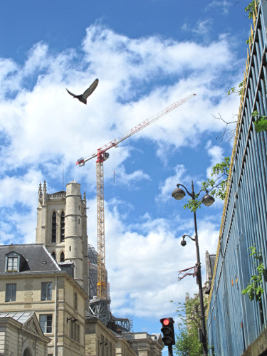 L'oiseau du Panthéon