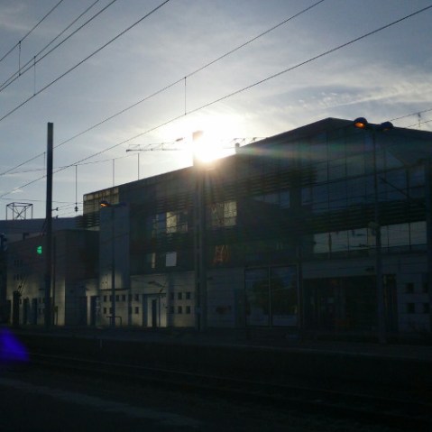 Rennaises et pommes d'apies