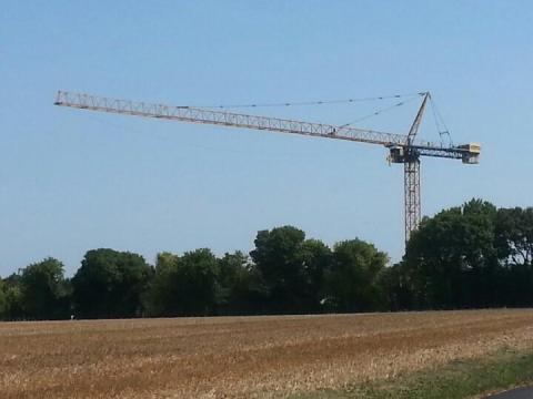 20150927 - la grue des champs