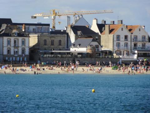 Une grue prête à prendre son bain