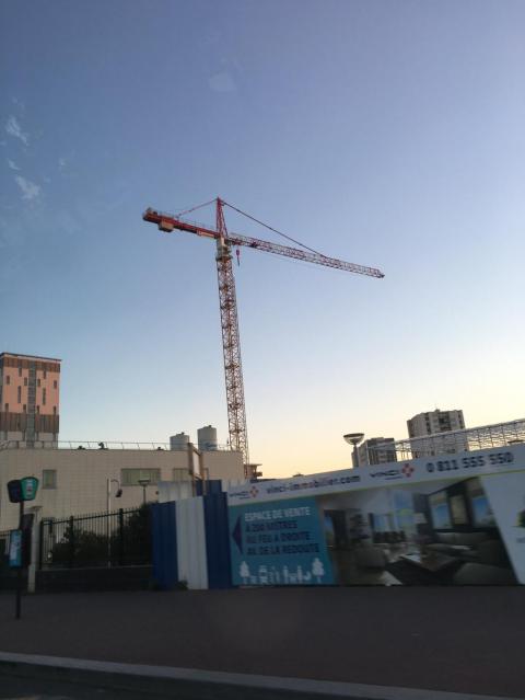 Dans le soleil du soir elle se dessine sur le ciel