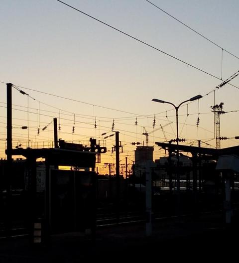 20151124 - La beauté des câbles au soleil levant