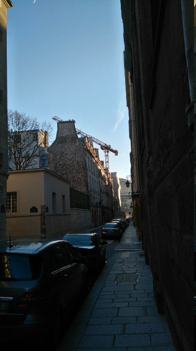 La grue de l'ile saint louis