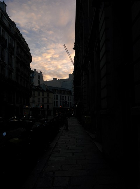 Quand soudain, semblant crever le ciel, et venant de nulle part surgit une grue noire