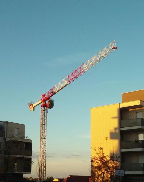 Grue épleumienne