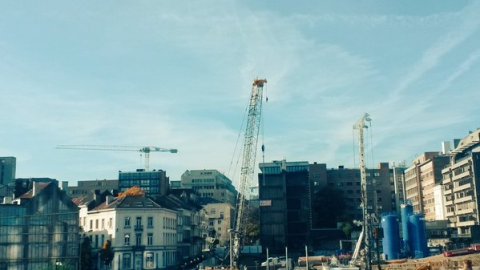 Il fait grue - et beau