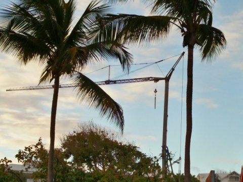 Noel sous le soleil de Gwada - Alain Godon