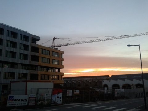 Grue du matin Brest