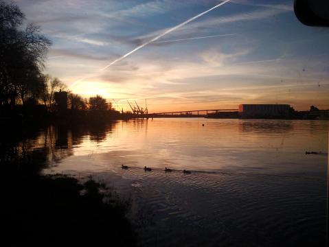 Laissez passer les canards