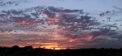 Horizon de grues crépusculaires