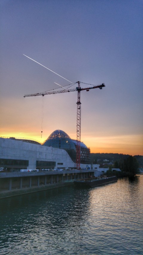 la-grue-fait-son-show-a-boulogne