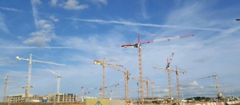 colonie-de-grue-a-luxembourg