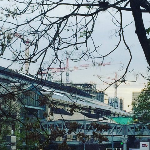 austerlitz-son-arbre-ses-grues