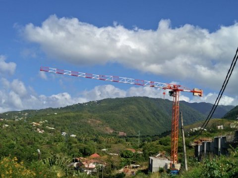 la-grue-de-marigot