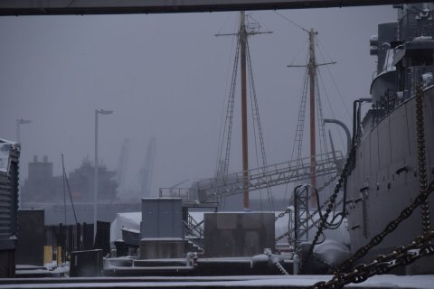 grues-du-port-dans-le-gris-blizzard
