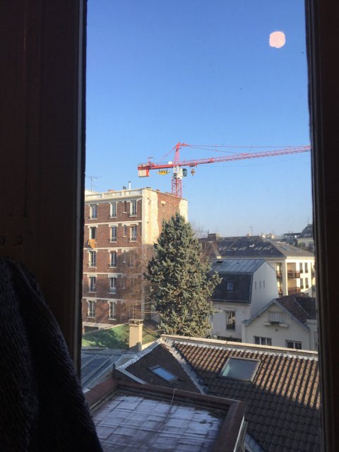 crane-morning