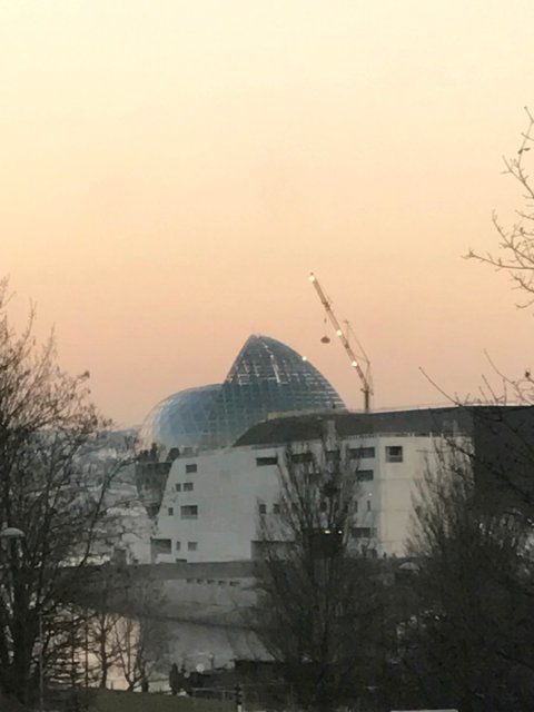 ile-seguin-rose-glace