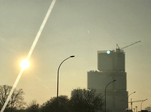 les-grues-du-tgi-a-contre-jour