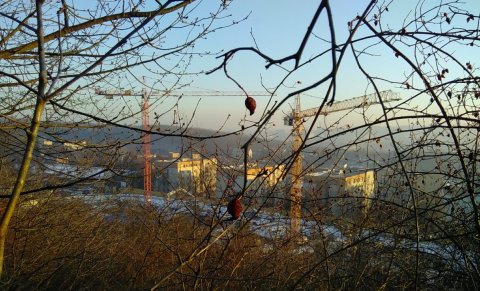 deux-grues-et-un-sipek